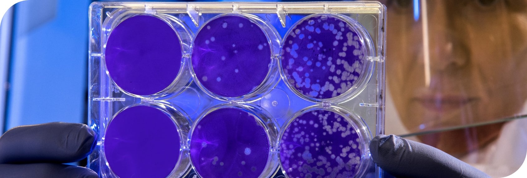 Livre Blanc "Optimiser son Contrôle Microbiologique"