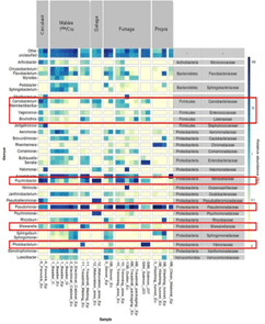 Identificação de defeitos em produtos alimentares através de metabarcoding