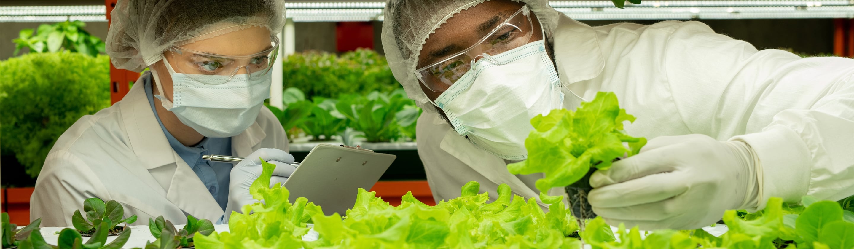 food safety culture