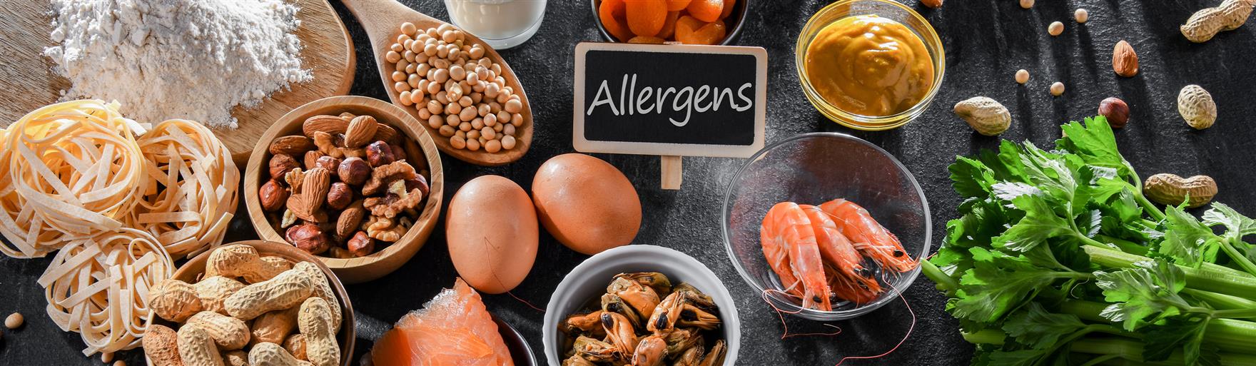 Food Allergen Testing