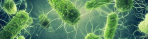 Modificación del criterio Listeria monocytogenes en el Reglamento (CE) 2073/2005. Nuevo Reglamento 2024/2895
