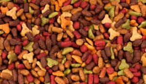 Autorização do uso de L-valina em Alimentos para Animais