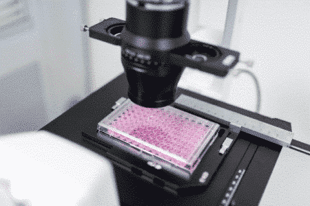 Equipamentos de biologia celular utilizados em testes de segurança farmacêutica