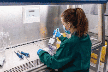 Equipamentos de biologia celular utilizados em testes de segurança farmacêutica