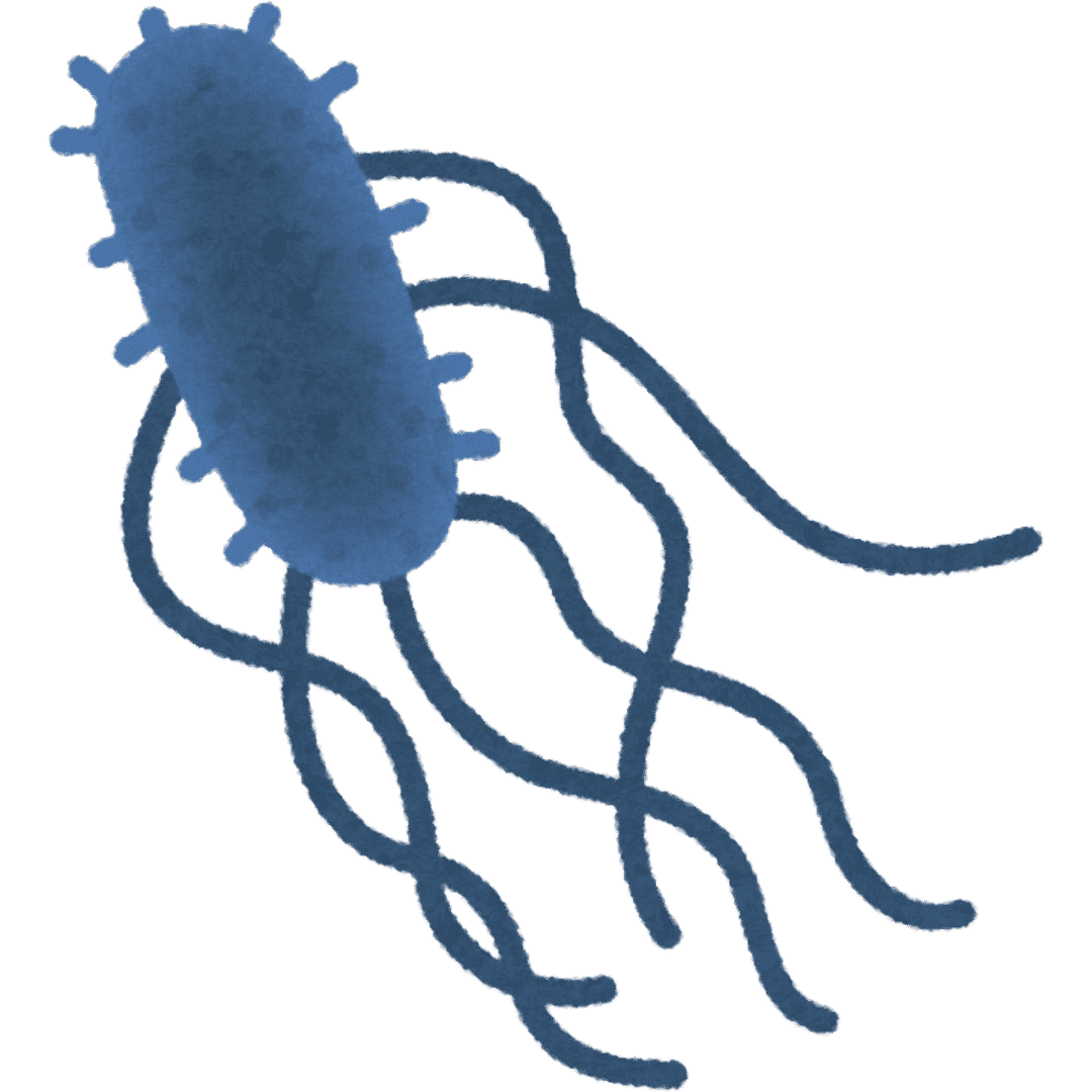 Formation Gestion du risque Listeria monocytogenes