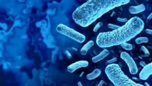 Comment maîtriser le risque Listeria monocytogenes ?