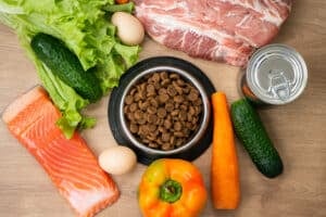 Petfood: Alimentos para mascotas