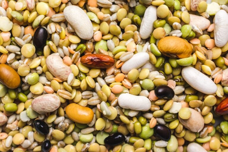 A Mérieux NutriSciences recebe nova acreditação GAFTA (Grain and Feed Trade Association)