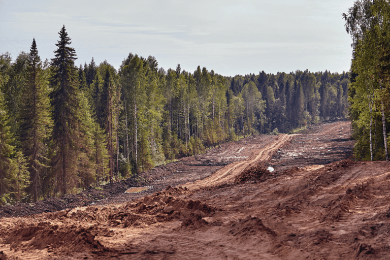reglamento-deforestacion-EUDR-industria-alimentaria