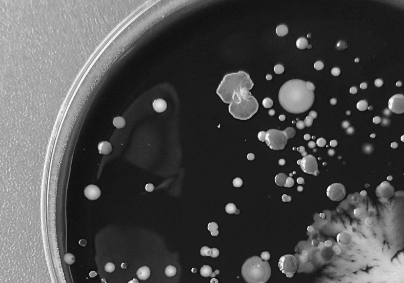 Analisi e monitoraggio Legionella per sicurezza impianti idrici aziendali