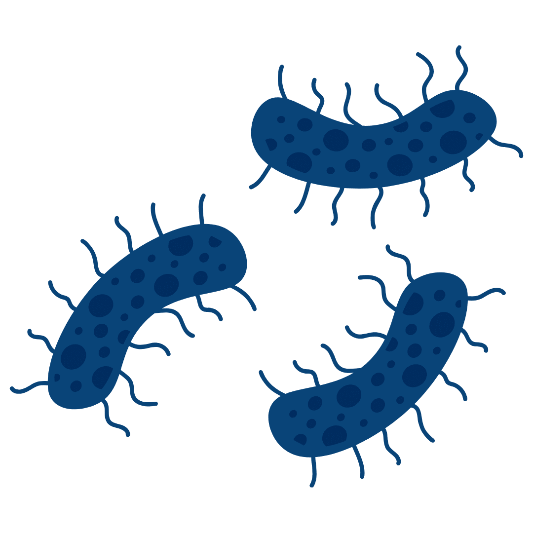 Parcours Formation Salmonelle